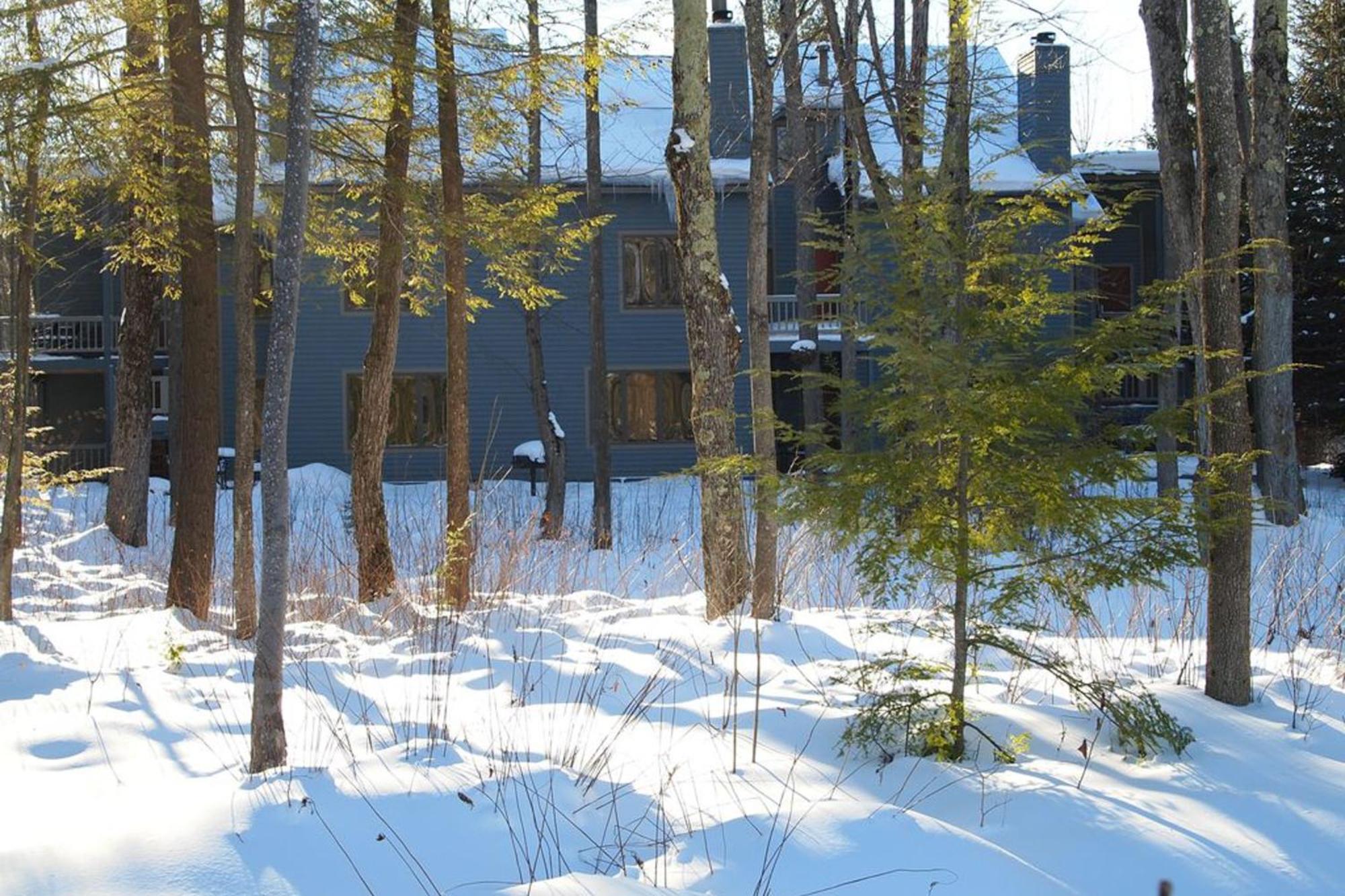 Wintergreen Condos Thompsonville Номер фото